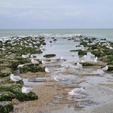 In Belgium Near The Sea, Cleaning Included Apartamento *