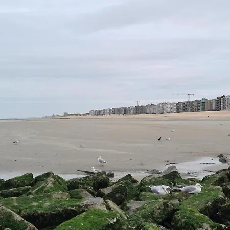 In Belgium Near The Sea, Cleaning Included Apartamento *
